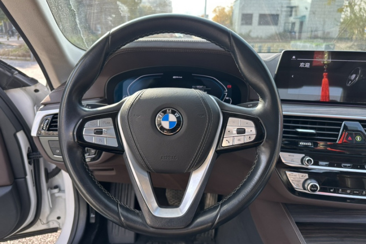 BMW 5 Series New Energy 2020 car image #19