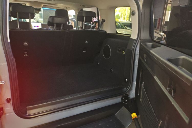 Tank 300 New Energy 2025 car image #19