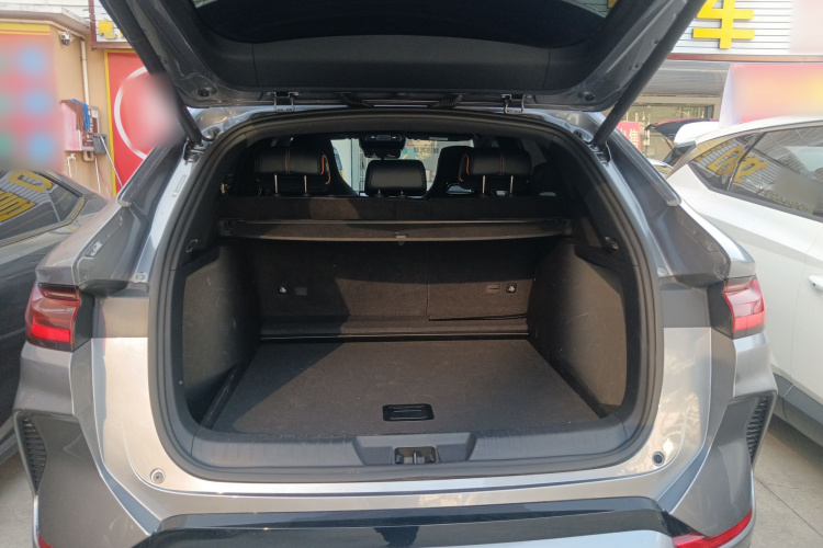 BYD Song Plus New Energy 2024 car image #19