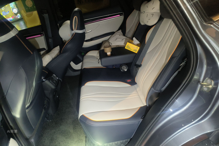 BYD Song Plus New Energy 2022 immagine di auto #19