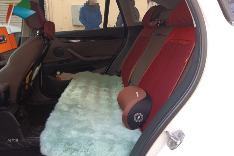 BMW X1 New Energy 2020 image de voiture #19