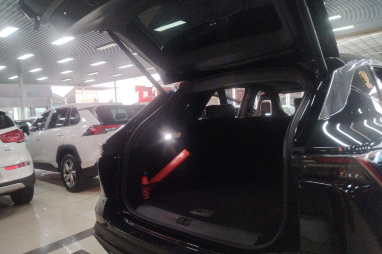 Dashing 2023 immagine di auto #19