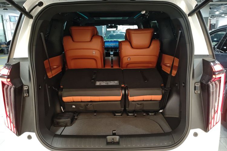 GAC Trumpchi Xiangwang M8 2025 car image #19