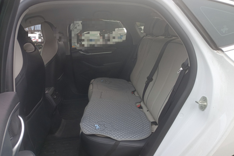 BYD Destroyer 05 2024 car image #19