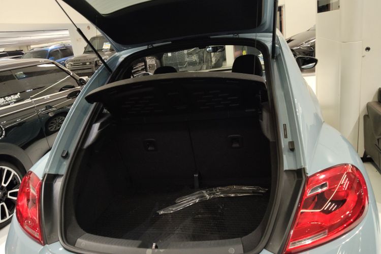 Volkswagen Beetle 2014 car image #19