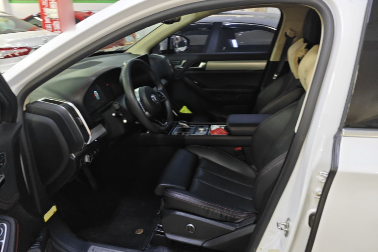 BYD Tang New Energy 2020 car image #19