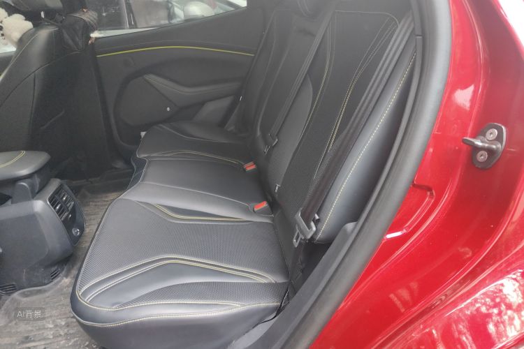 Ford Mustang Mach-E 2024 car image #19