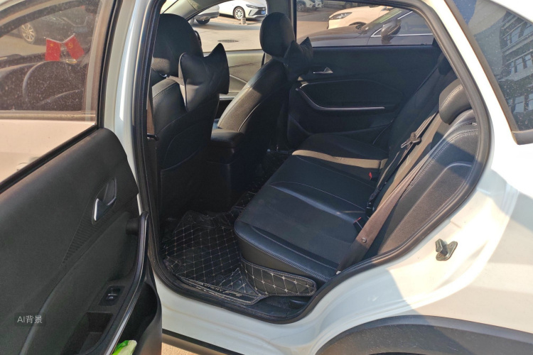 Tiggo 3x 2020 car image #19