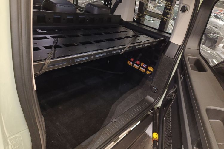 Tank 300 2022 #19 Tank 300 2022 car image #19