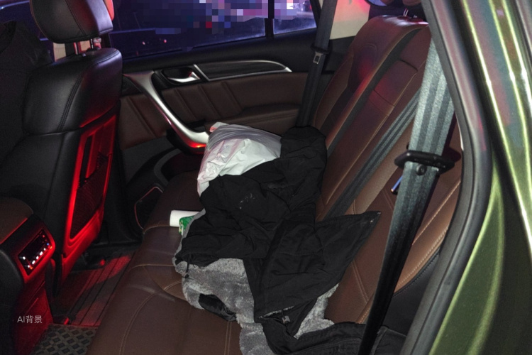 Haval H9 2020 car image #19