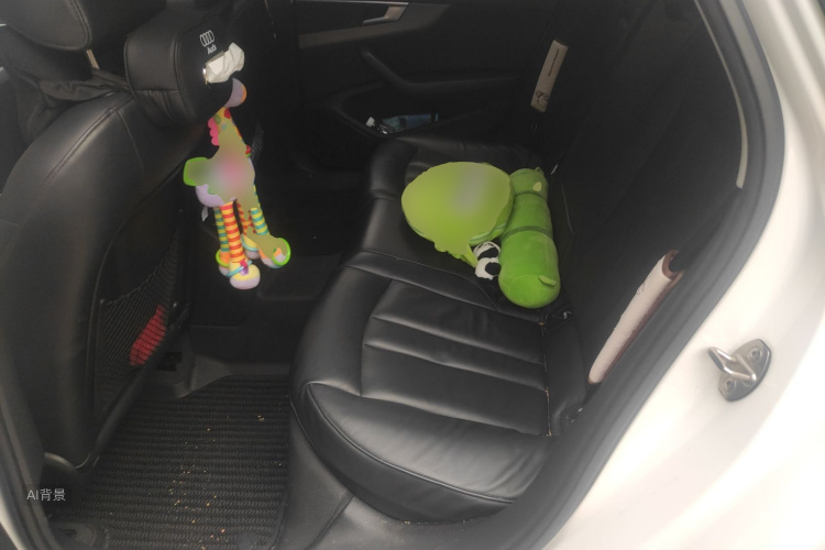 奥迪 奥迪A4L 2020 汽车图片 #19