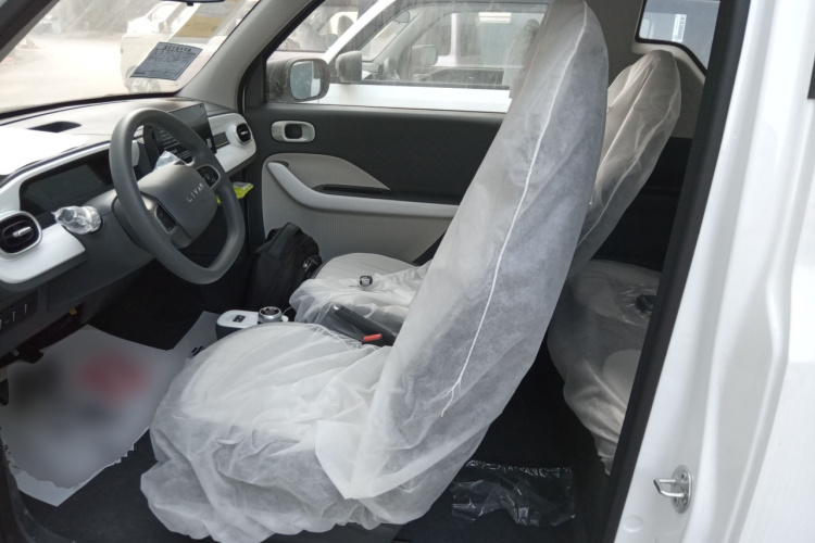 Livan 2025 immagine di auto #19