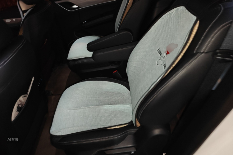 BYD 2019 car image #19
