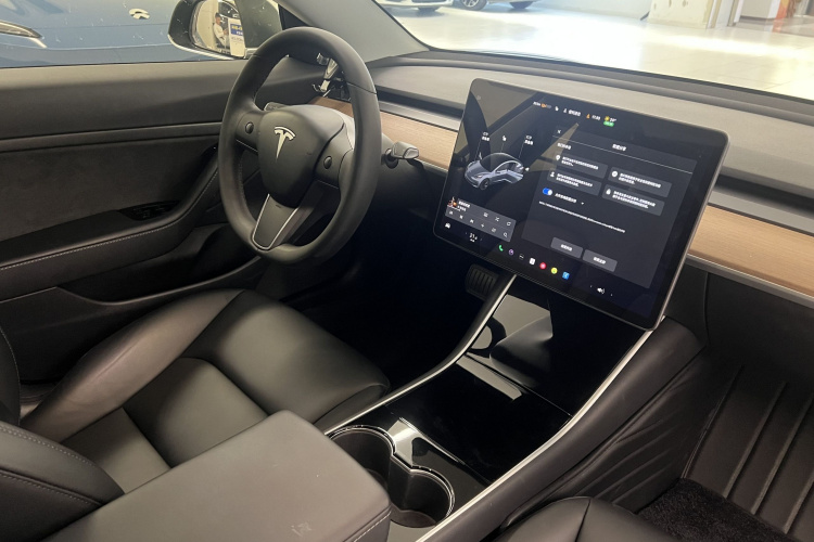 Tesla Model 3 2020 immagine di auto #19