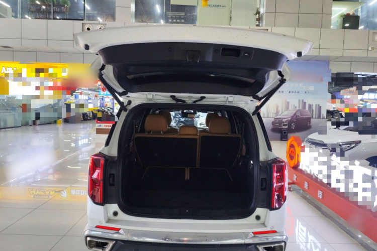 GAC Trumpchi ES9 2024 car image #19