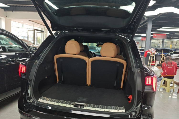Lynk & Co 09 EM-P 2022 car image #19