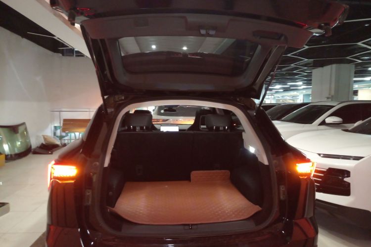 Jetour Dashing 2024 car image #19