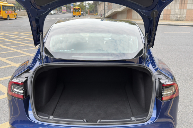 Tesla Model 3 2020 car image #19