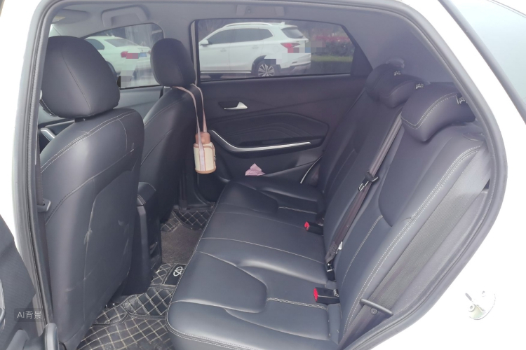 Tiggo 3x 2021 car image #19