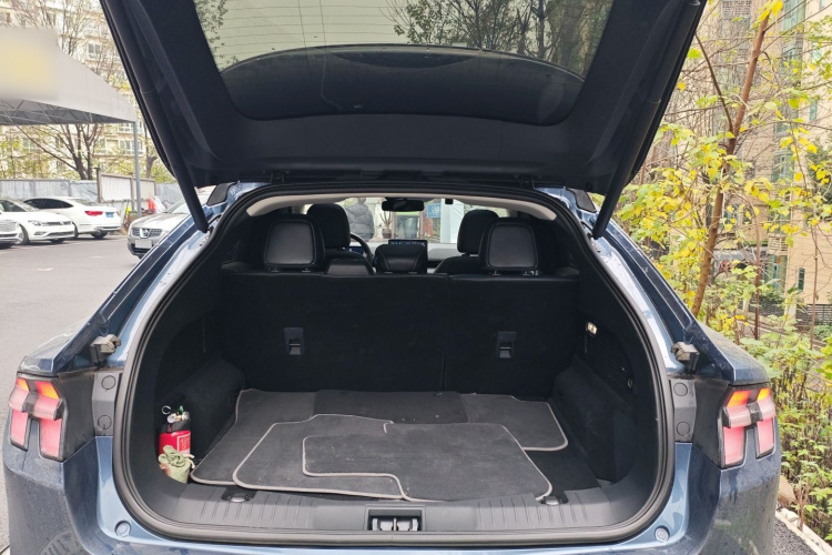 Ford Mustang Mach-E 2022 #19 Ford Mustang Mach-E 2022 car image #19