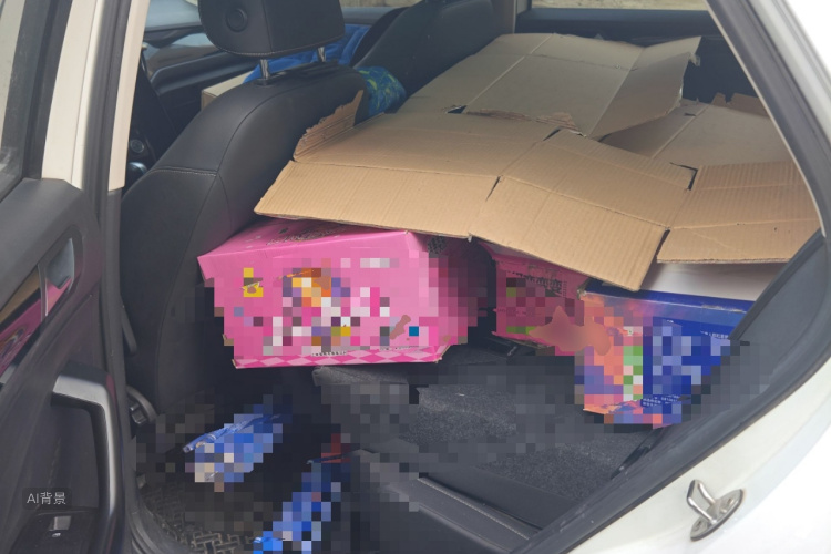 T-Roc 2019 car image #19