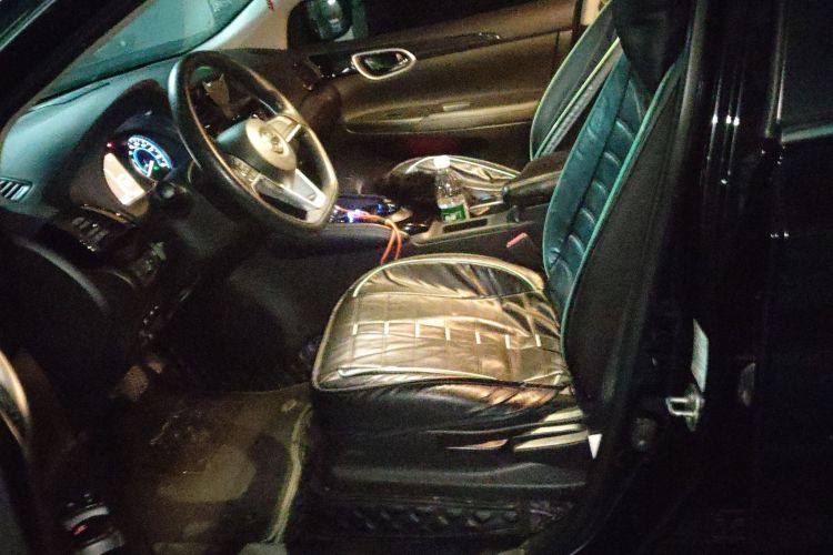 日产 轩逸·纯电 2019 汽车图片 #19