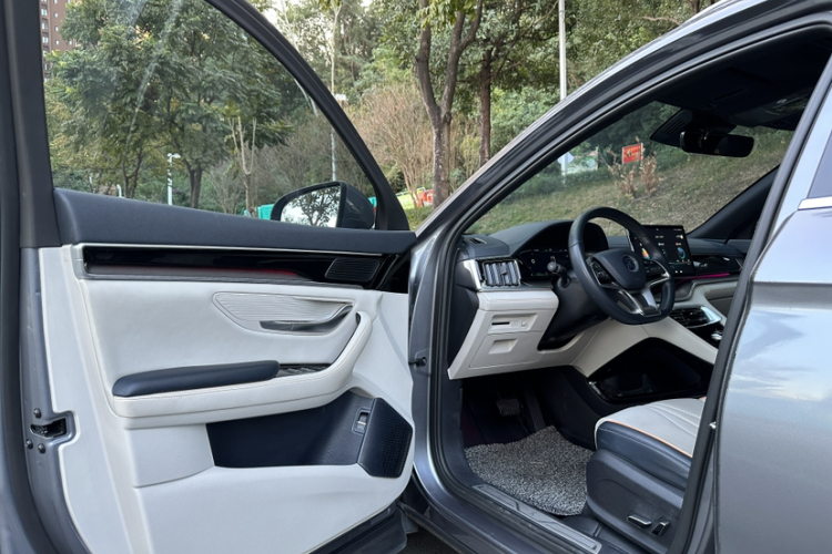 BYD Song Plus New Energy 2022 car image #19
