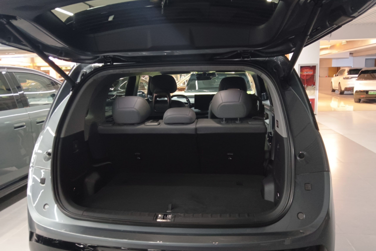 极氪 极氪MIX 2024 汽车图片 #19