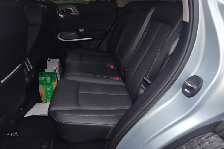 FangChengBao Tiger 3 2025 car image #19