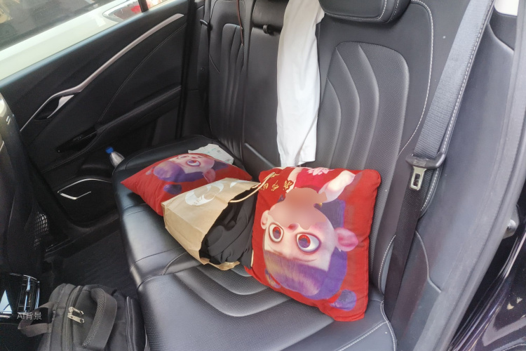 Neta U 2021 imagen de coche #19