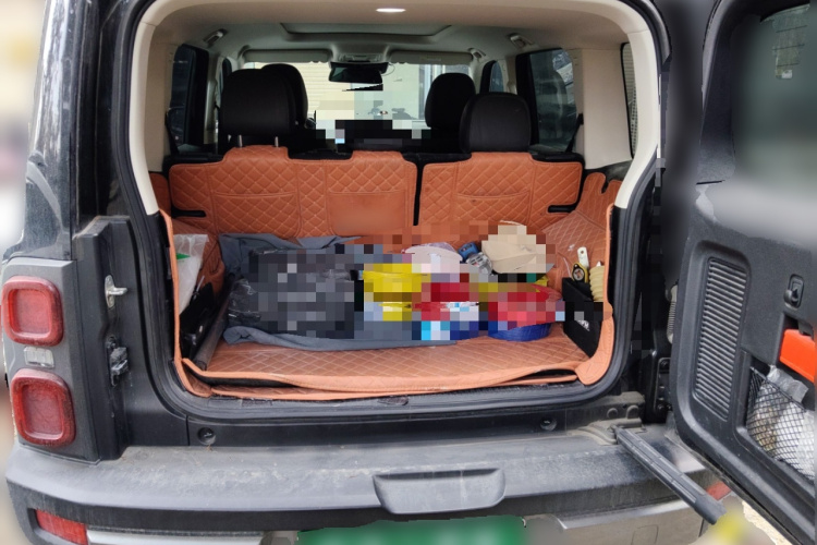 Haval Raptor New Energy 2024 car image #19