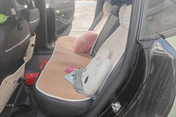 Deepal SL03 2024 car image #19