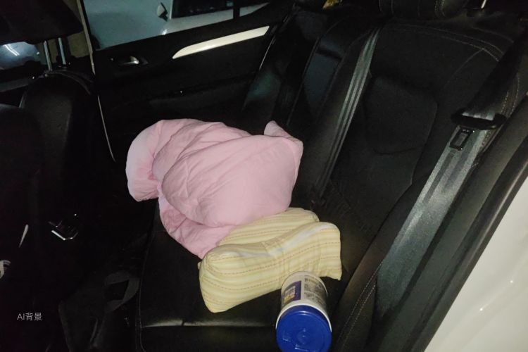 Citroen C4L 2017 #19 Citroen C4L 2017 car image #19