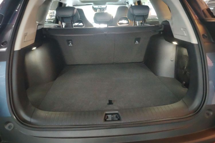 BYD Sea Lion 07 DM-i 2025 car image #19