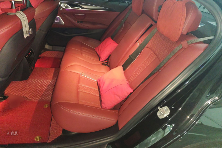 BMW 5 Series New Energy 2021 car image #19