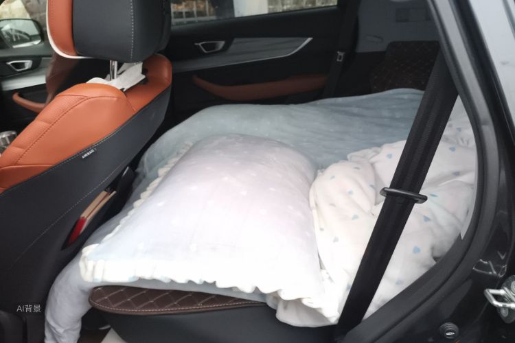 Chery Tiggo 8 Plus 2022 car image #19