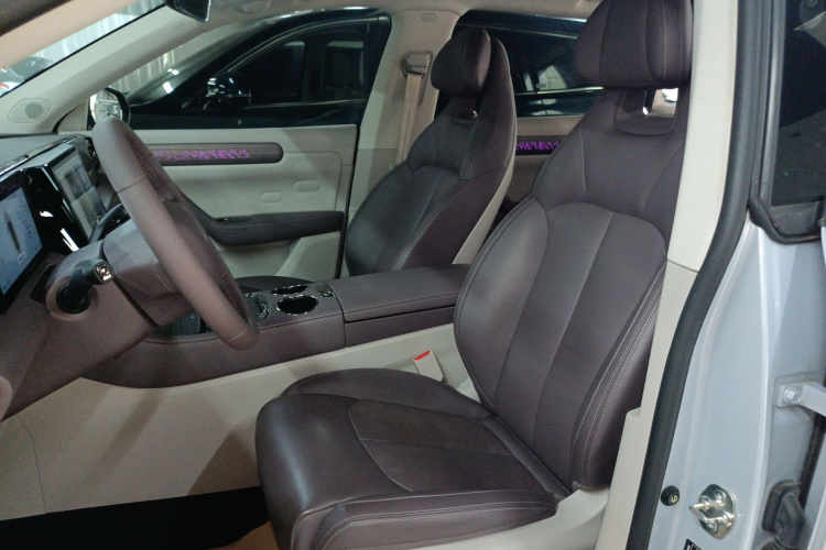 Leapmotor C11 2023 car image #19