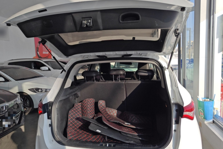 Soueast DX5 2020 imagem de carro #19