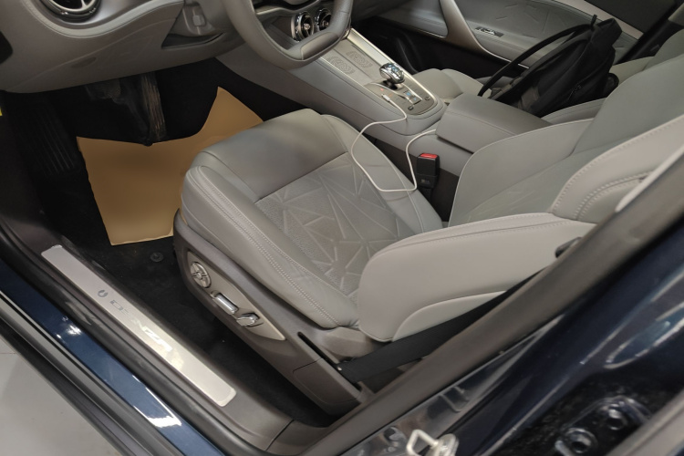 Denza N8 2023 imagen de coche #19