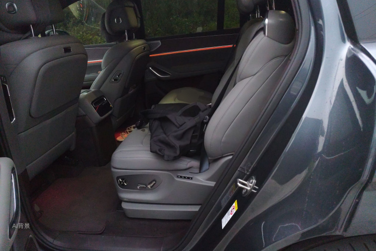 Denza N9 2025 car image #19