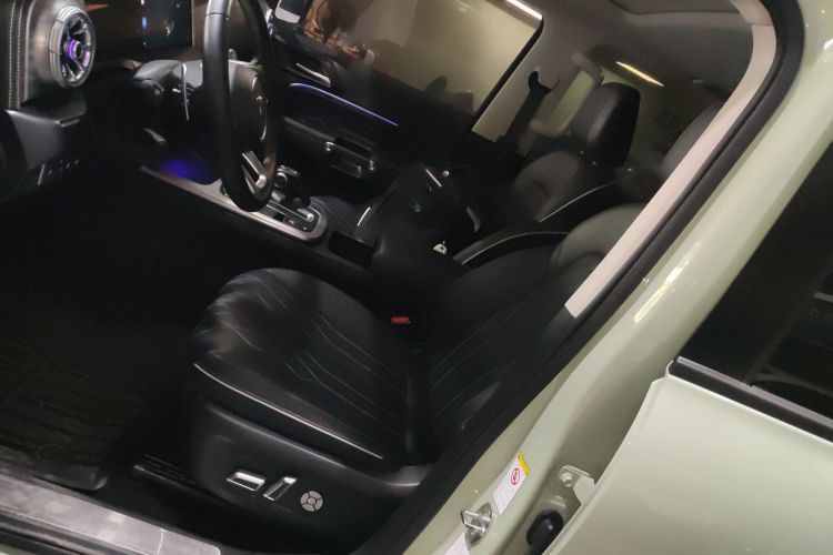 Tank 300 2021 immagine di auto #19