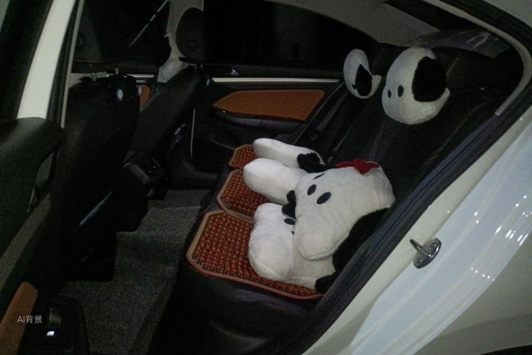Volkswagen Bora 2022 car image #19
