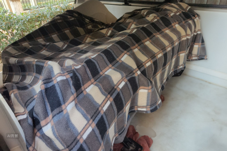 Forthing Lingzhi 2021 #19 Forthing Lingzhi 2021 car image #19