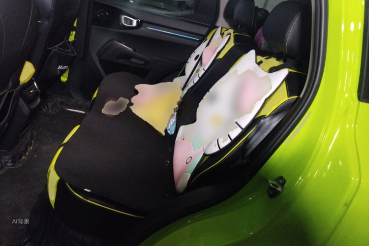 Haval Dargo 2022 car image #19