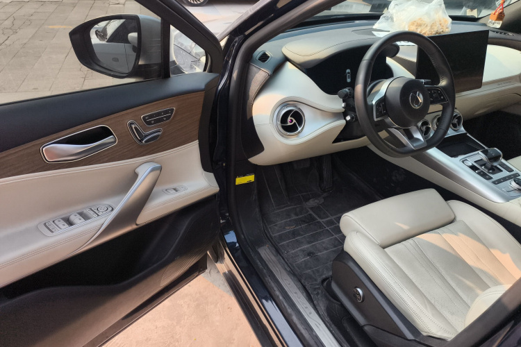 Denza X 2020 car image #19