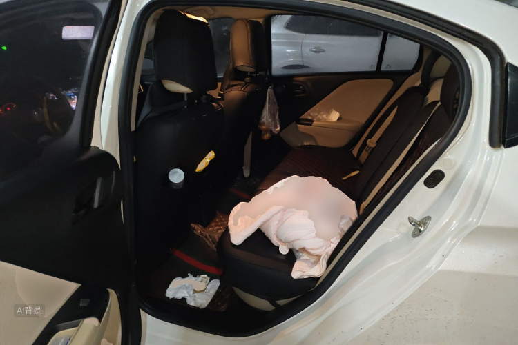 Honda Greiz 2019 car image #19