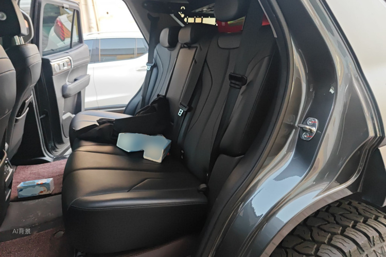 Tank 400 New Energy 2024 car image #19