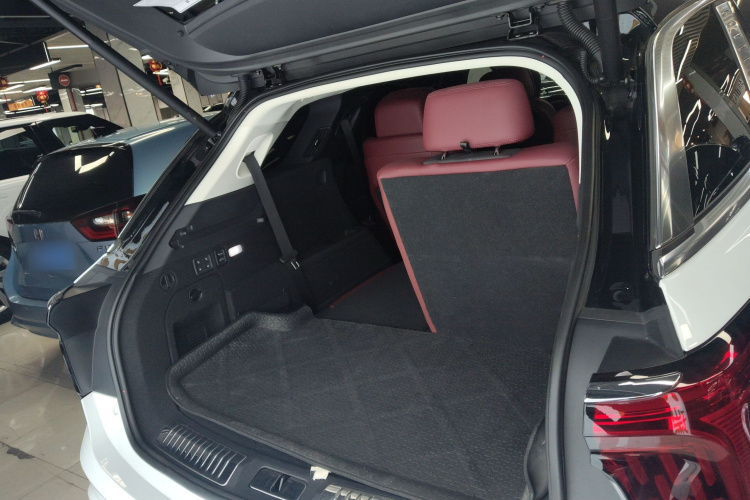 HongQi E-HS9 2023 #19 HongQi E-HS9 2023 car image #19