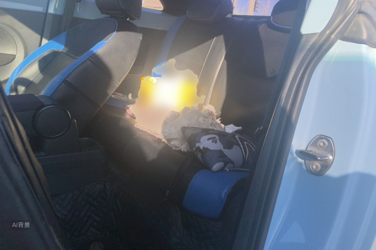 Volkswagen Beetle 2014 immagine di auto #19