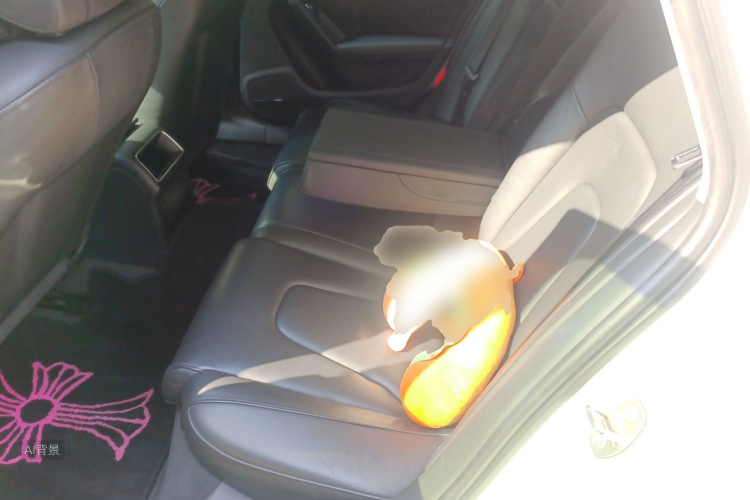 奥迪 奥迪A4L 2014 汽车图片 #19